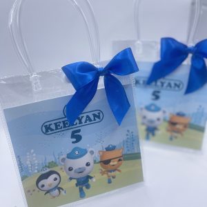 MINI SAC TRANSPARENT X2